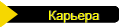 Карьера